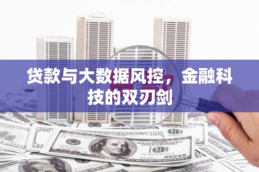 山阴贷款与大数据风控，金融科技的双刃剑