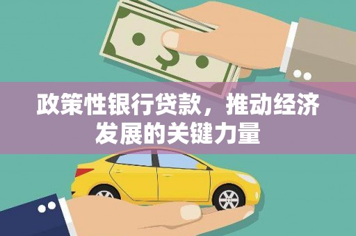 山阴政策性银行贷款，推动经济发展的关键力量