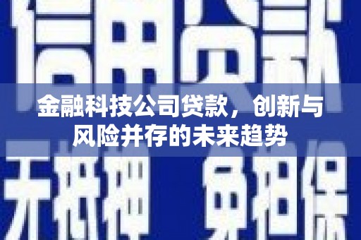 山阴金融科技公司贷款，创新与风险并存的未来趋势