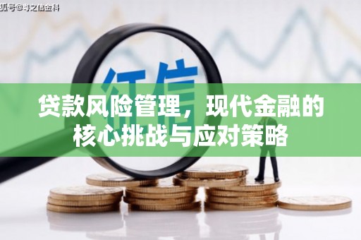 山阴贷款风险管理，现代金融的核心挑战与应对策略