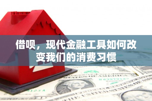 山阴借呗，现代金融工具如何改变我们的消费习惯