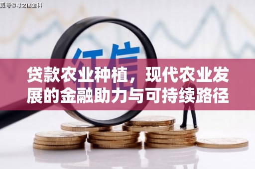 山阴贷款农业种植，现代农业发展的金融助力与可持续路径