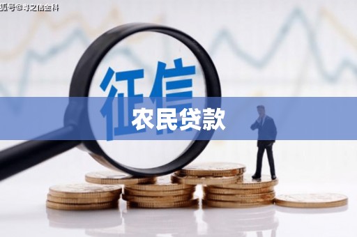山阴农民贷款