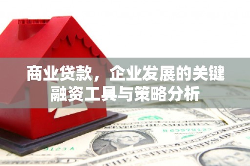 山阴商业贷款，企业发展的关键融资工具与策略分析