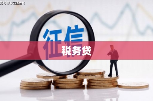 山阴税务贷
