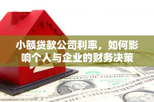 山阴小额贷款公司利率，如何影响个人与企业的财务决策