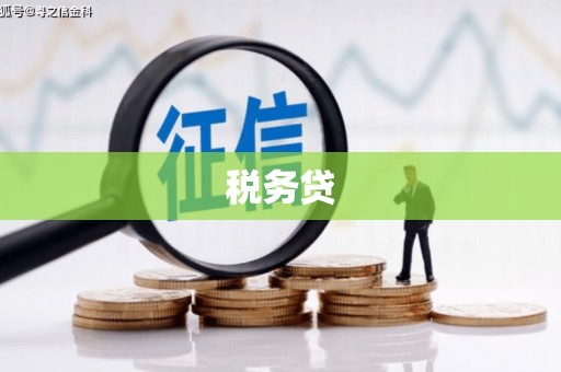 山阴税务贷