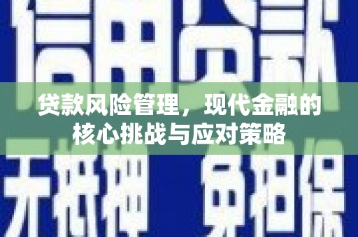 山阴贷款风险管理，现代金融的核心挑战与应对策略