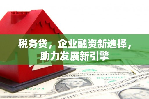 山阴税务贷，企业融资新选择，助力发展新引擎