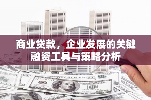 山阴商业贷款，企业发展的关键融资工具与策略分析