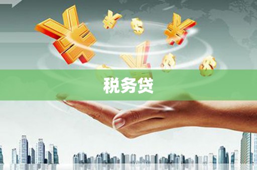山阴税务贷