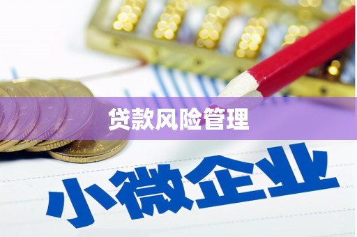 山阴贷款风险管理