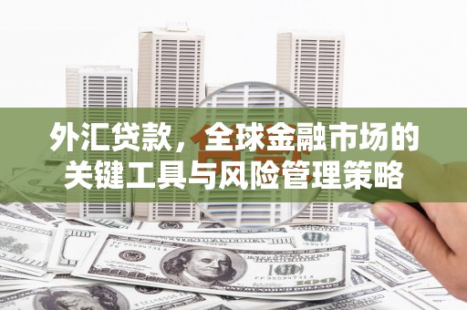山阴外汇贷款，全球金融市场的关键工具与风险管理策略