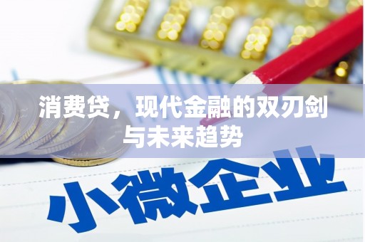 山阴消费贷，现代金融的双刃剑与未来趋势