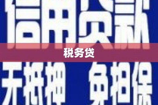 山阴税务贷