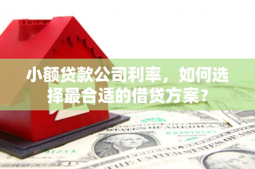 山阴小额贷款公司利率，如何选择最合适的借贷方案？