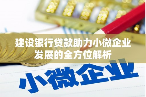 山阴建设银行贷款助力小微企业发展的全方位解析