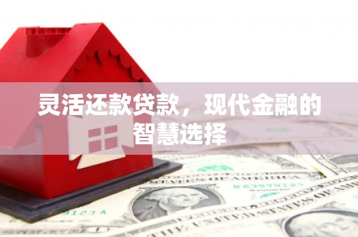 山阴灵活还款贷款，现代金融的智慧选择