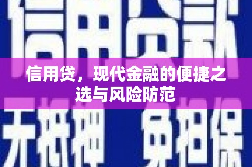 山阴信用贷，现代金融的便捷之选与风险防范
