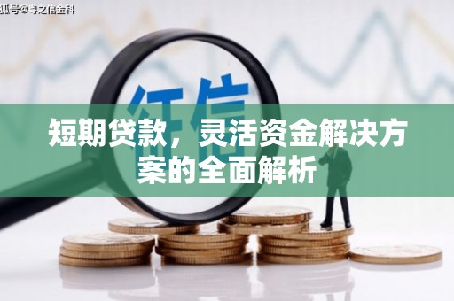 山阴短期贷款，灵活资金解决方案的全面解析