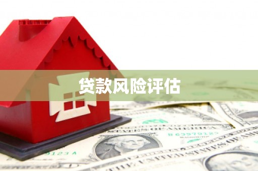 山阴贷款风险评估