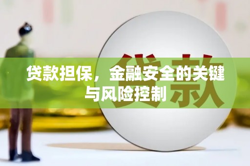 山阴贷款担保，金融安全的关键与风险控制
