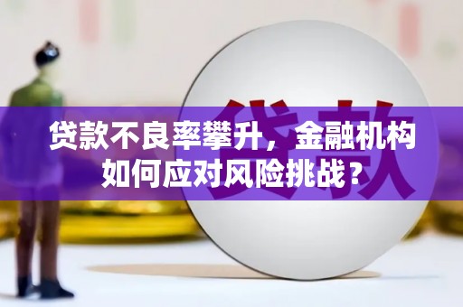 山阴贷款不良率攀升，金融机构如何应对风险挑战？