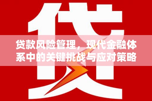 山阴贷款风险管理，现代金融体系中的关键挑战与应对策略