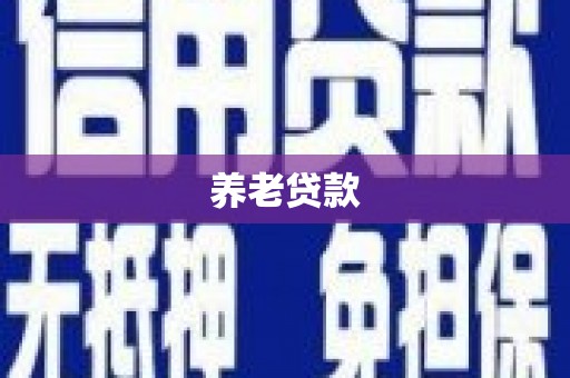 山阴养老贷款
