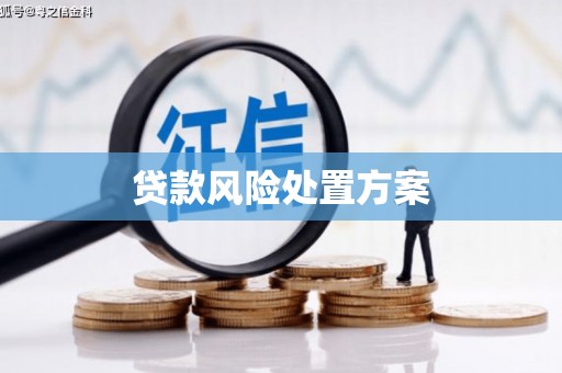山阴贷款风险处置方案