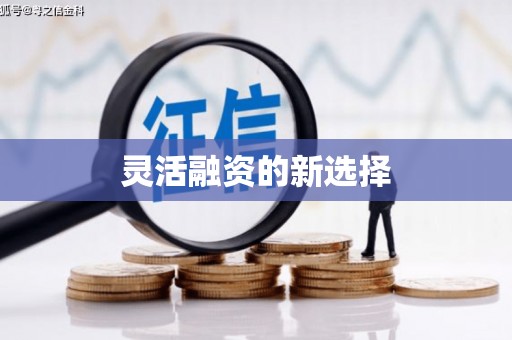 山阴灵活融资的新选择