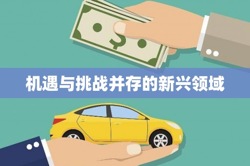 山阴机遇与挑战并存的新兴领域