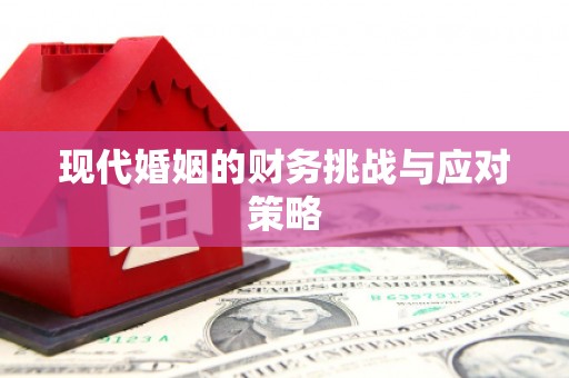 山阴现代婚姻的财务挑战与应对策略