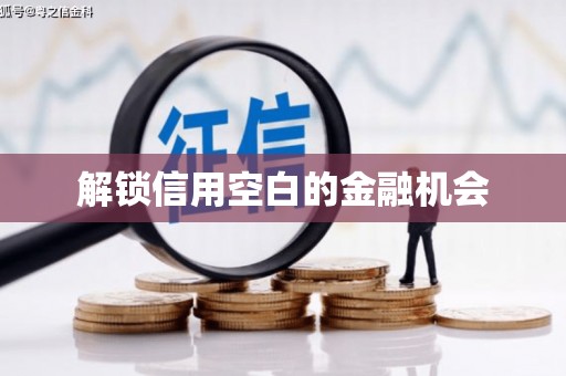 山阴解锁信用空白的金融机会