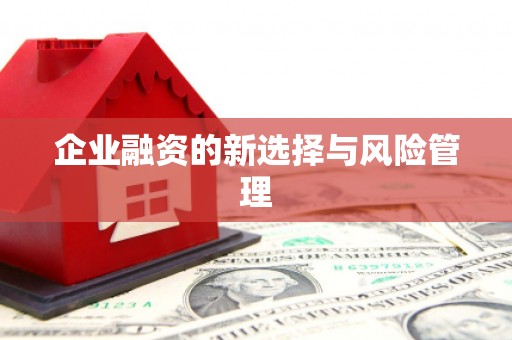 山阴企业融资的新选择与风险管理
