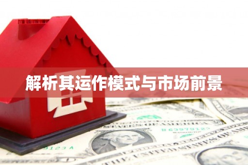 山阴解析其运作模式与市场前景