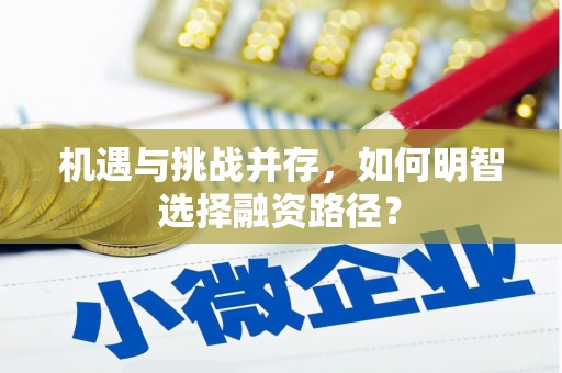 山阴机遇与挑战并存，如何明智选择融资路径？