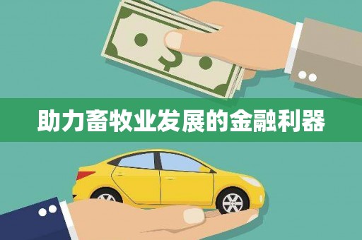 山阴助力畜牧业发展的金融利器