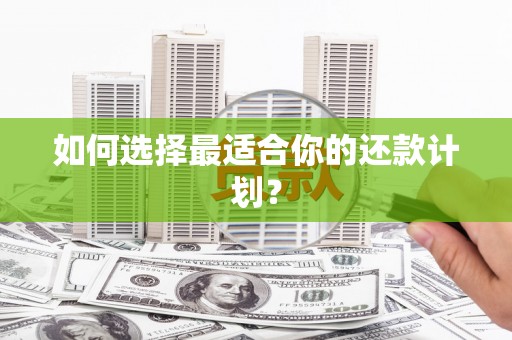 山阴如何选择最适合你的还款计划？