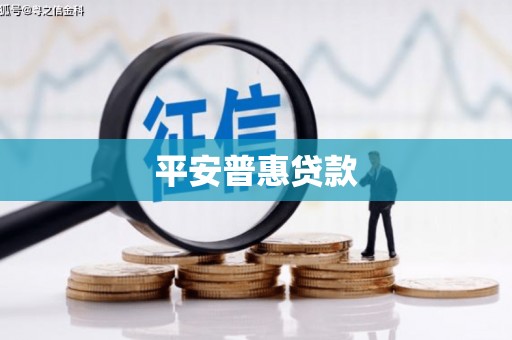 山阴平安普惠贷款